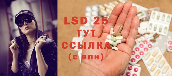 индика Новозыбков