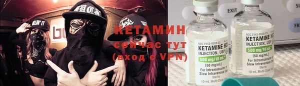 индика Новозыбков