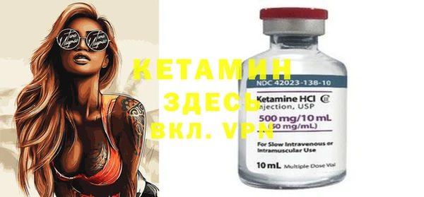 индика Новозыбков