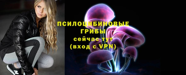 кристаллы Няндома