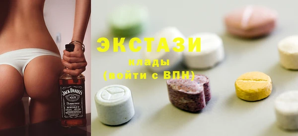индика Новозыбков