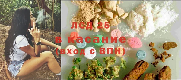 индика Новозыбков