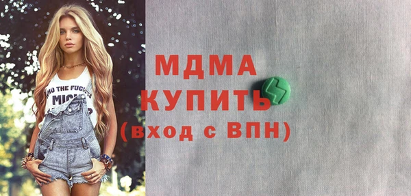 индика Новозыбков