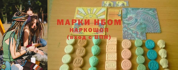 ECSTASY Богданович