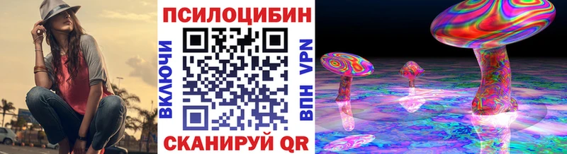 где купить   Шуя  Псилоцибиновые грибы Cubensis 