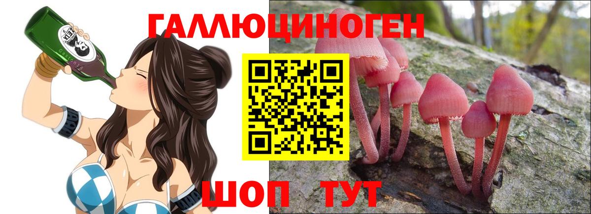 Псилоцибиновые грибы мицелий  Вход с VPN  Шуя 